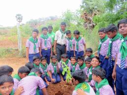 NGC Tree Plantation 2