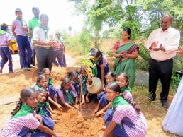 NGC Tree Plantation